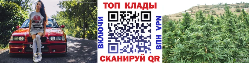 Где купить наркотики Рудня Гашиш  МАРИХУАНА  Мефедрон 