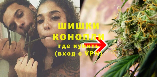 гидра Зеленокумск