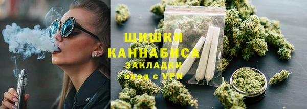 гидра Зеленокумск