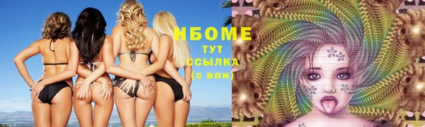 гидра Зеленокумск